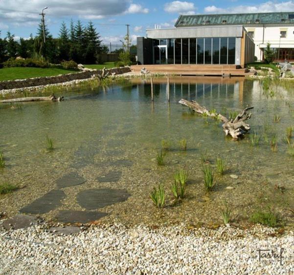 Park Hotel Tartuf Beladice Δωμάτιο φωτογραφία